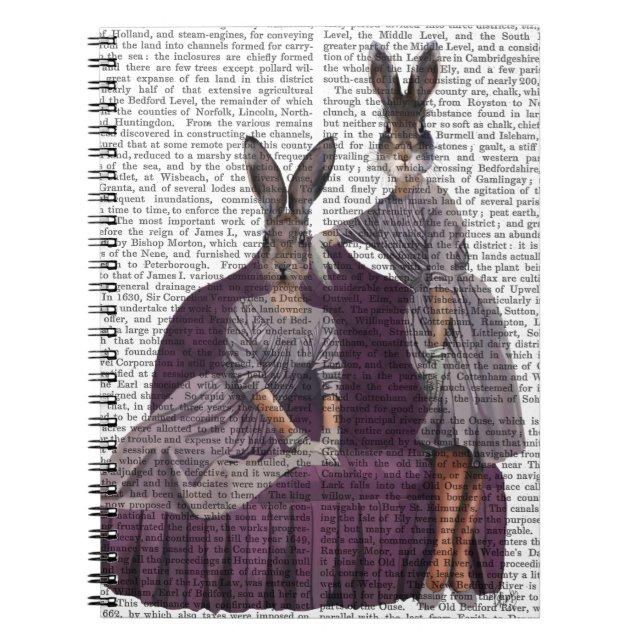 Carnet Lapins en violet.png (Devant)