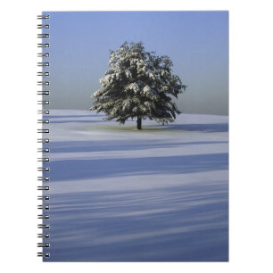 Carnet L'arbre dans la neige a couvert le paysage