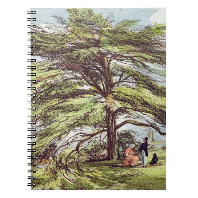 Carnet L'arbre de cèdre du Liban dans l'arborétum, Kew (Devant)