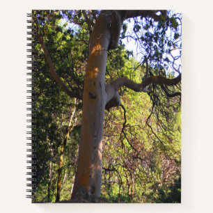 Carnet L'arbre hanté....