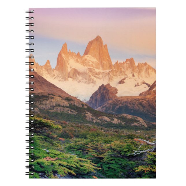 Carnet L'Argentine, Patagonia, parc national de (Devant)