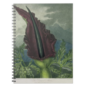 Carnet L'arum de dragon, gravé par la salle, 'du Templ