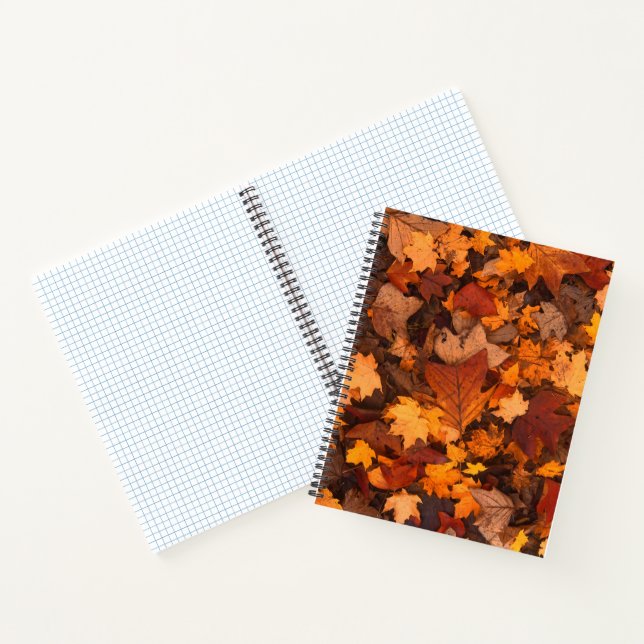 Carnet l'automne (Intérieur)