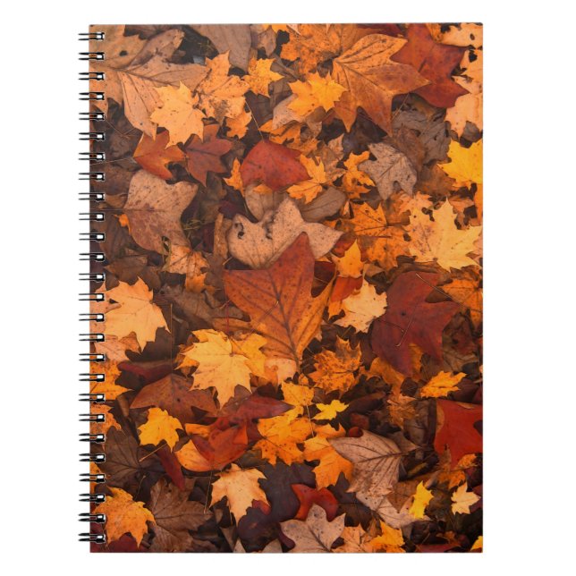 Carnet l'automne (Devant)
