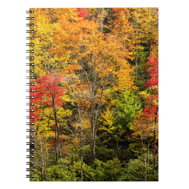 Carnet L'automne à Sims Pond en Caroline du Nord, Blue Ri (Devant)