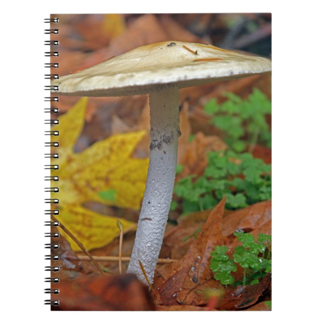 Carnet "L'Automne Sentinel : Le Sauvage Est Seul" (Devant)