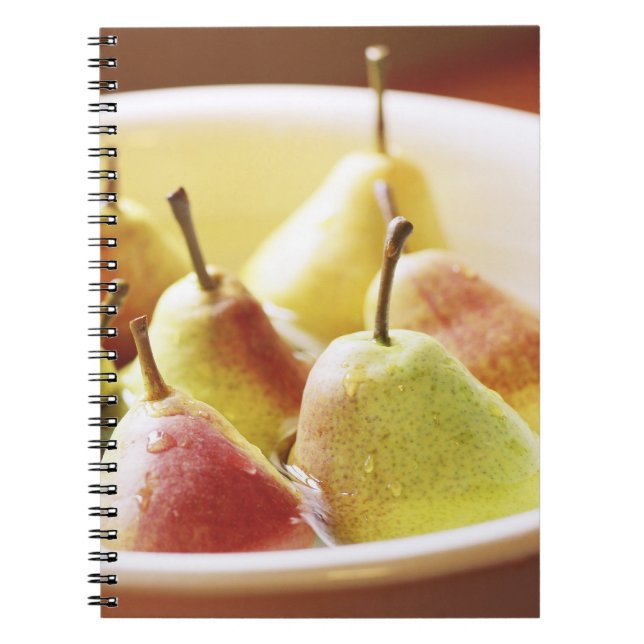 Carnet Lavage de poires (Devant)