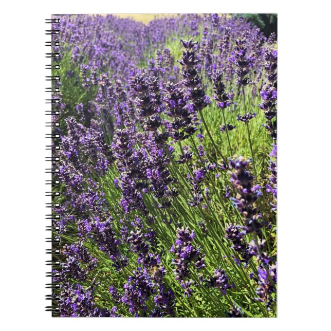 Carnet Lavender Farm (Devant)