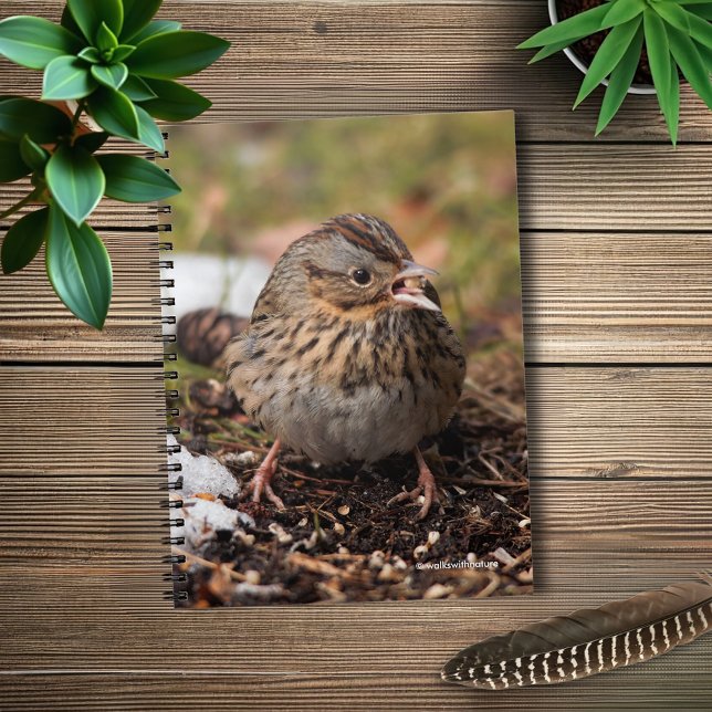 Carnet Le Bruant de Lincoln mou et épinglé (Spunky Lincoln's Sparrow in the Snow Journal Cover Photo)