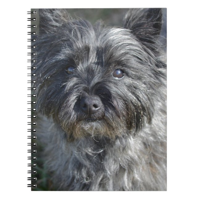 Carnet Le cairn Terrier font face (Devant)