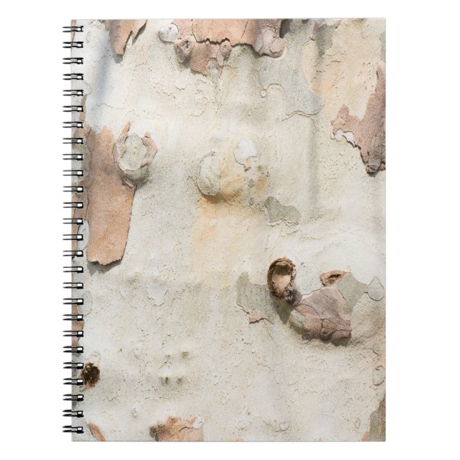 Carnet Le camouflage de l'arbre de l'avion ressemble à un (Devant)