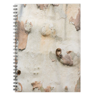 Carnet Le camouflage de platane ressemble à un motif d'éc
