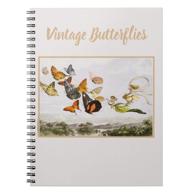 Carnet Le Carrosse Enchanté de la Reine des Fées (1870)  (Devant)