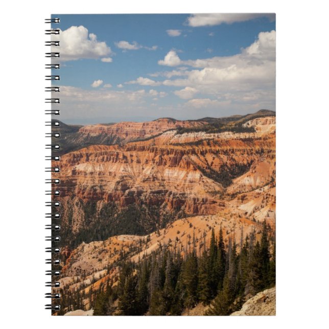 Carnet Le cèdre casse le monument national, Utah (Devant)