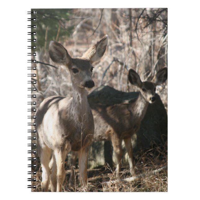 Carnet Le cerf dit bonjour (Devant)