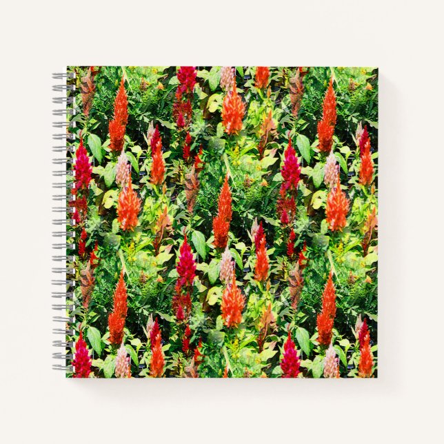 Carnet Le champ de fleurs..... (Devant)