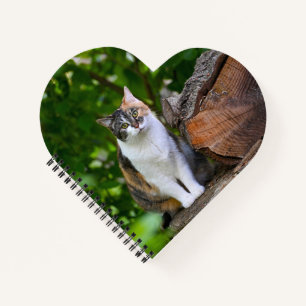 Carnet Le Chat