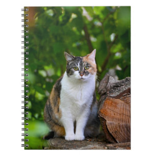 Carnet Le Chat