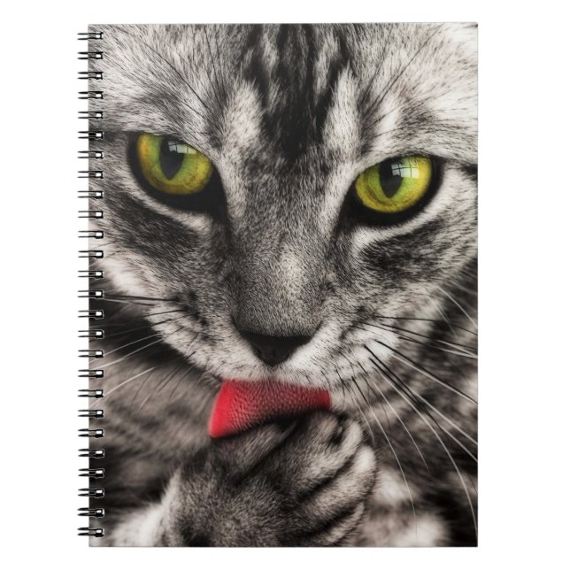 Carnet Le chat lèchent (Devant)