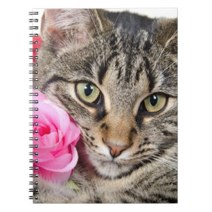 Carnet Le chat tigré mignon avec s'est levé