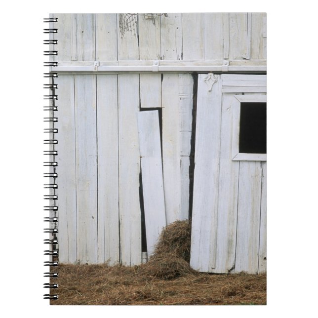 Carnet Le collage de cheval dirigent la fenêtre de grange (Devant)