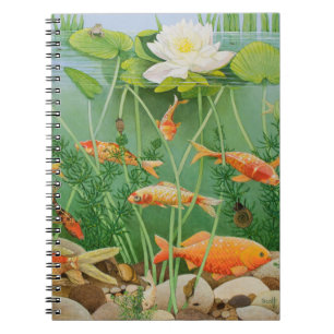 Carnet Le contact d'or 2011