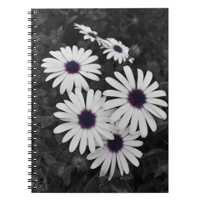 Carnet Le contraste subtil de la nature (Devant)