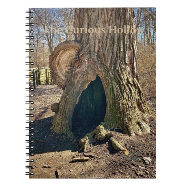 Carnet Le Creux Curieux  (Devant)