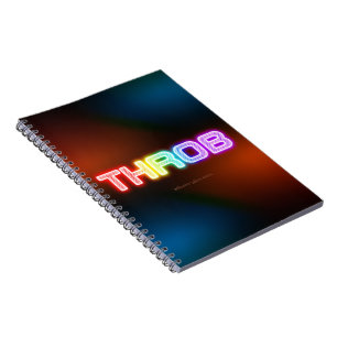 Carnet Le dégradé arc-en-ciel épais de SlipperyJoe's palp