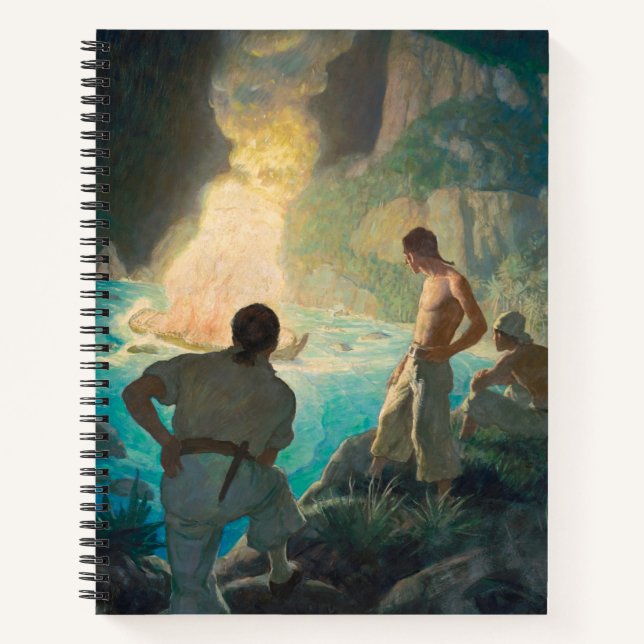 Carnet Le feu de la générosité par Newell Convers Wyeth (Devant)