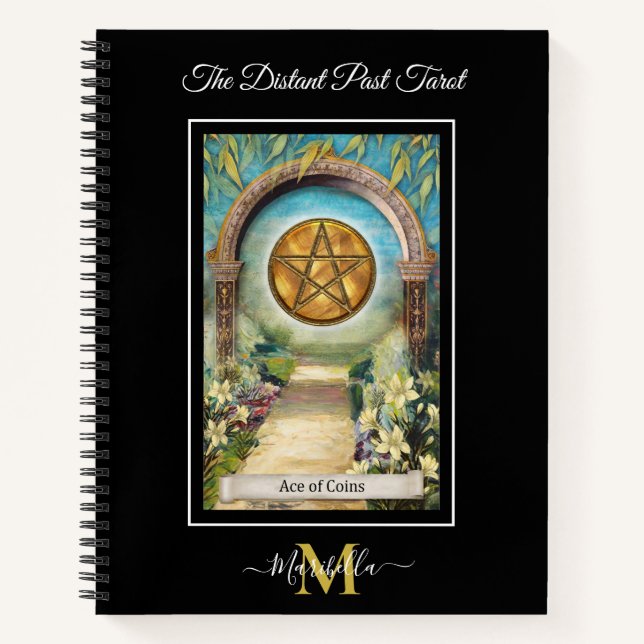 Carnet Le jeu de tarot The Distant Past As de pièces Mono (Devant)