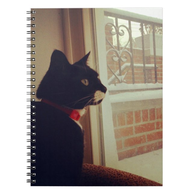 Carnet Le Jour de la Neige de Lucy (Devant)