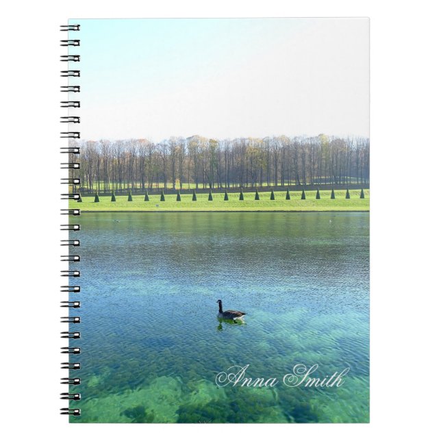 Carnet Le lac Forest. Oie sur l'eau. (Devant)