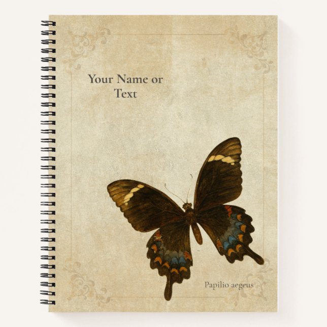 Carnet Le Monarque des Mandarins : Papillon de l'Orchard  (Devant)
