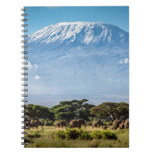 Carnet Le mont Kilimandjaro