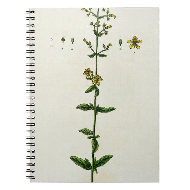 Carnet Le moût de St John, plaquent 15 "d'un de fines (Devant)