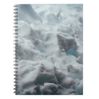 Carnet Le Parc national de Grand Teton