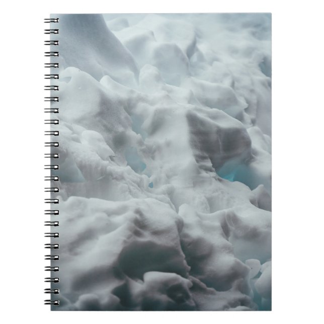 Carnet Le Parc national de Grand Teton (Devant)