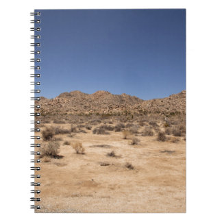 Carnet Le Parc national de Joshua Tree