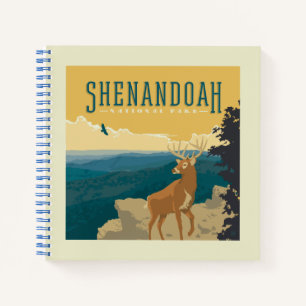 Carnet Le Parc national de Shenandoah   Cerf