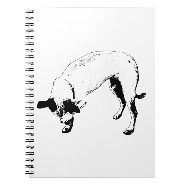 Carnet Le petit secret du terrier (Devant)