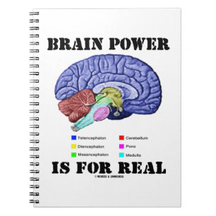 Carnet Le pouvoir du cerveau est réel Anatomie du cerveau