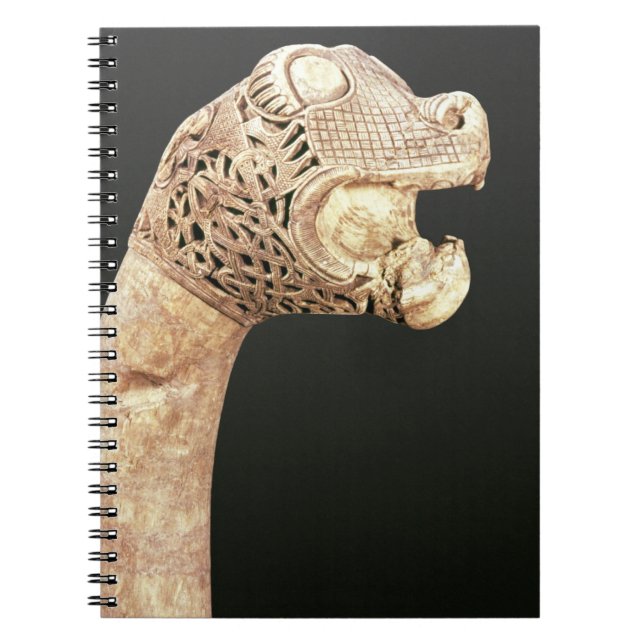 Carnet Le prête-nom d'un drakkar de Viking, a trouvé chez (Devant)