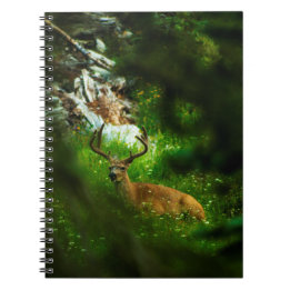 Carnet Le Prince Forêt