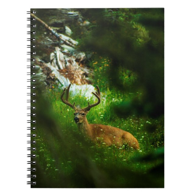 Carnet Le Prince Forêt (Devant)