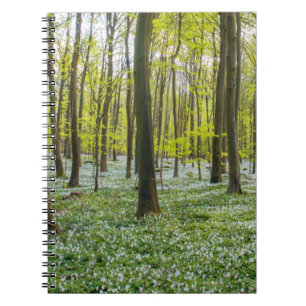 Carnet Le printemps à la vie