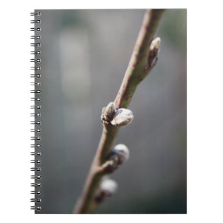 Carnet Le printemps arrive