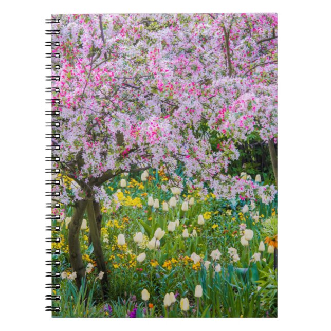Carnet Le printemps dans le jardin de Claude Monet (Devant)