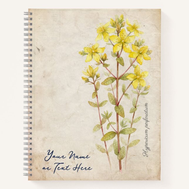Carnet Le Secret de la Saint-Jean : Hypericum Perforatum (Devant)