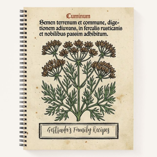 Carnet Le Secret du Marchand d'Épices : Le Cumin Médiéval (Devant)